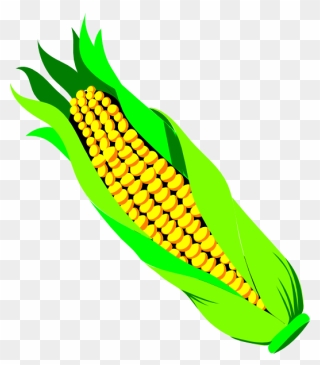 Corn On The Cob Clip Art - Vegetable Clip Art - Png Download