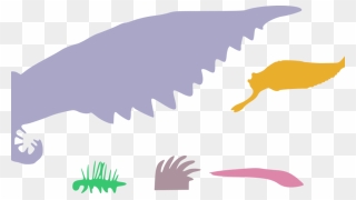Cambrian Explosion Happened Because Bar Was Lower In - Big Was Anomalocaris Clipart