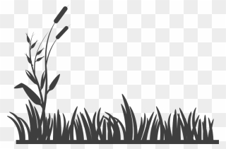 Grass Clipart Silhouette - Grass Clipart Black And White - Png Download