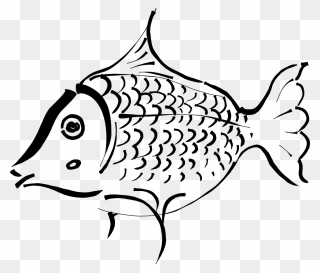 Outline Of A Fish Clipart