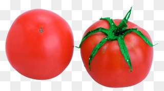 Tomato Vegetable Eating Food Melon - Tomato Clipart