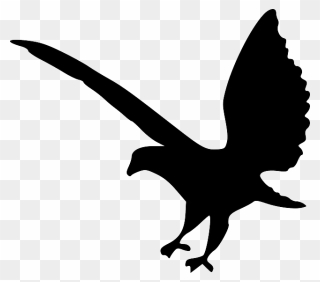 Eagle, Bird, Animal, Flying, Silhouette - Bird Logo Transparent Clipart