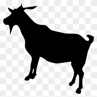 Boer Goat Dorper Cattle - Goat Clipart