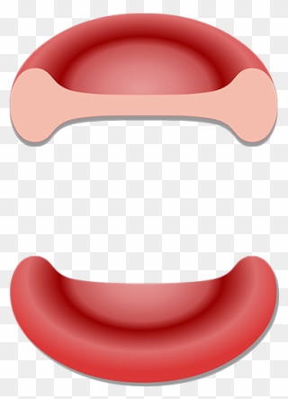 Unlabelled Red Blood Cell Clipart