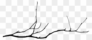 Simple Tree Branch Silhouette Clipart