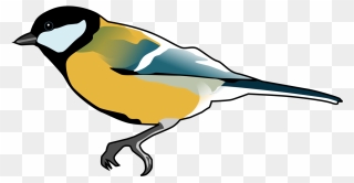 Finches Songbird Drawing Computer Icons Cc0 - Tit Bird Transparent Background Clipart