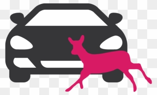 Animal-vehicle Collisions - Car Icon Vector Png Clipart