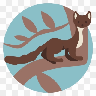 Pine Marten - Otter Clipart
