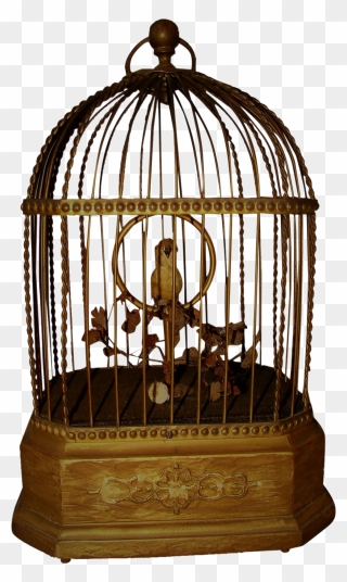 Nightingale In Cage Clipart