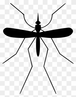 Collection Of Free Mosquito Drawing Gnat Download On - Mosquito Svg Clipart