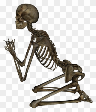 Skeleton, Skull Png Image - Skeleton Png Clipart