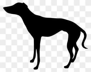Italian Greyhound Whippet Clip Art Silhouette - Horse Side View Silhouette - Png Download