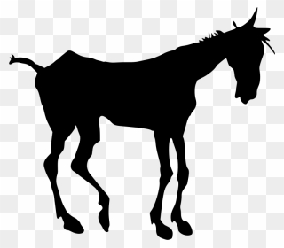 Mule Mustang Silhouette Foal Clip Art - Old Horse Silhouette - Png Download