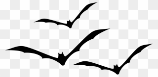 Collection Of Free Bats Drawing Flying Fox Download - Bats Silhouette Png Clipart