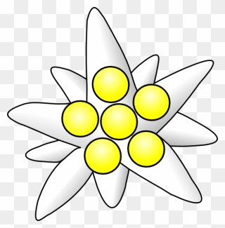 Flower Circles Clip Art At Clipart Library - Edelweiss Clipart - Png Download