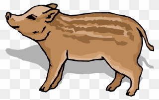 Transparent Clipart Animaux - Domestic Pig - Png Download