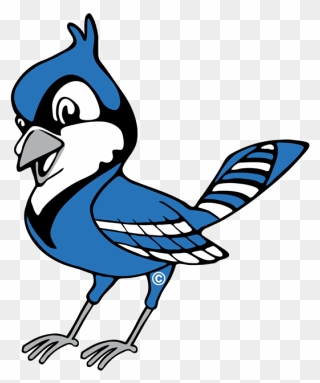 Blue Jay Clipart Png Transparent Png