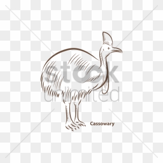 Cassowary Vector Image - Emu Clipart