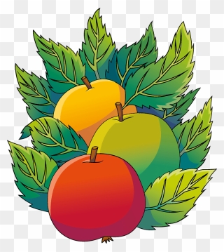 Apples Clipart - Seedless Fruit - Png Download