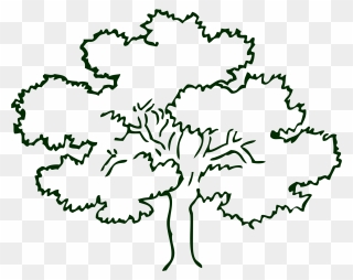 Transparent Tree Clipart Black And White Png