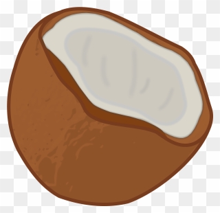 Coconut Svg Clipart