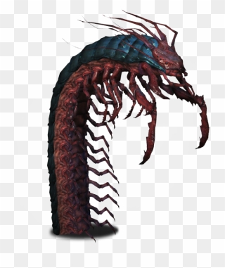 Witcher Giant Centipede Clipart