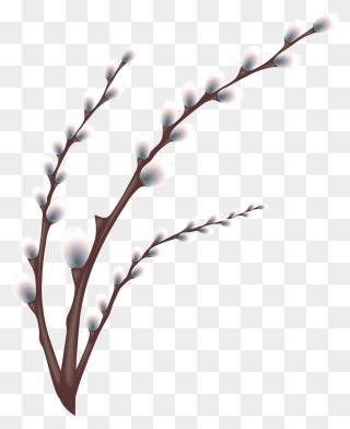 Easter Egg Tree Egg Hunt Easter Customs - Pussy Willow On Transparent Background Clipart