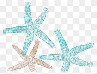 Cool Starfish Clipart Png Transparent Png