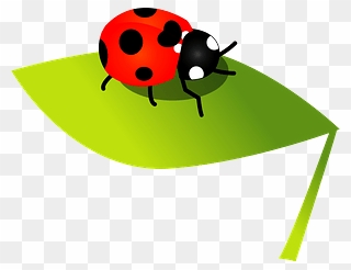 Seven Spot Ladybird Clipart - Ladybug - Png Download