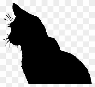 Cat Online Chat Clip Art - Silhouette Profil Chat - Png Download
