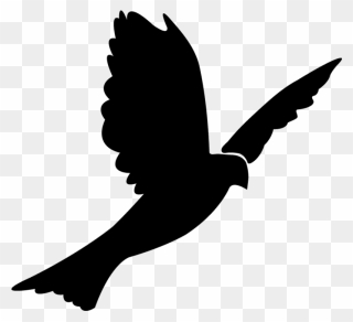 Columbidae Bird Rock Dove Silhouette Clip Art - Black Bird Flying Clipart - Png Download