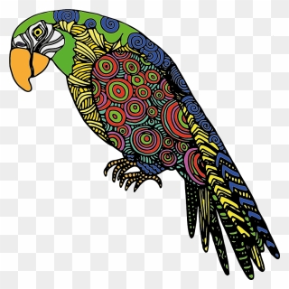 Detailed Parrot Clipart - Parrot Abstract - Png Download