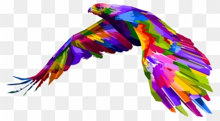 Macaw,parrot,vertebrate - Colorful Animal Geometric Art Clipart