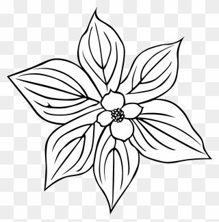 Flower Outlines Clipart