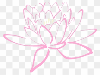 Lotus Black And White Clip Art - Png Download