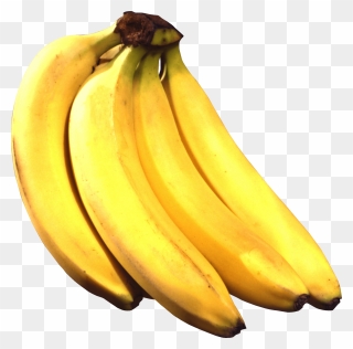 Bananas Transparent Png Stickpng - Bananas Transparent Clipart