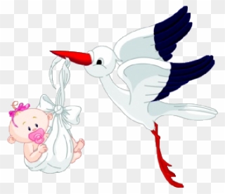 Stork With Baby Girl Png Clipart
