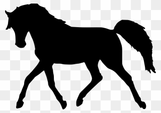 Standing Horse Silhouette Clip Art - Horse Silhouette Transparent Background - Png Download