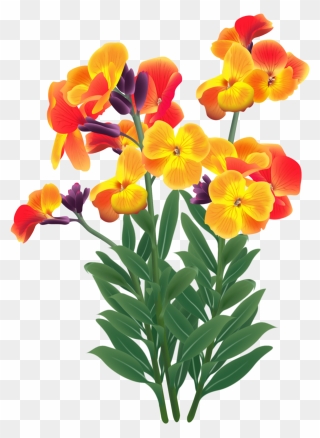 Wallflower - Plant Stem Clipart