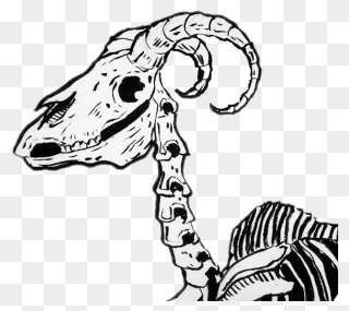 #dark #bones #huesos #horns #cuernos #freetoedit - Illustration Clipart