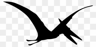 Transparent Pterodactyl Clip Art - Pterodactyl Black And White Clipart - Png Download