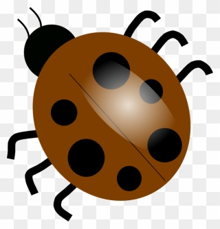 Transparent Ladybug Animated - Lady Bug Png Clipart