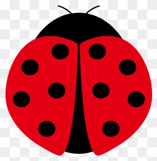 Ladybird Beetle Clipart