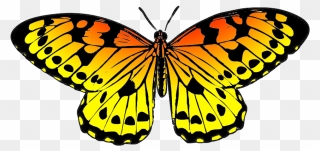 Butterfly Clip Art Color - Png Download