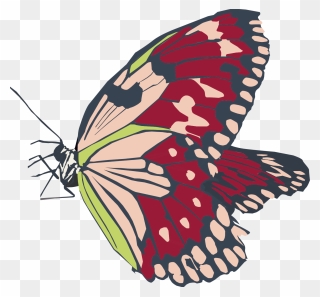 Butterfly Copy - Swallowtail Butterfly Clipart