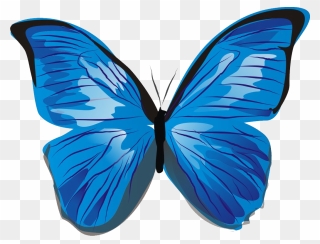 Butterfly Images, Blue Butterfly, Clip Art Free, Free - Cute Butterfly Png Blue Transparent Png