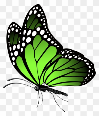 Butterfly High Resolution Clipart