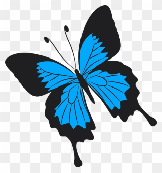 Butterfly Clipart - Kansas Flag Redesign - Png Download