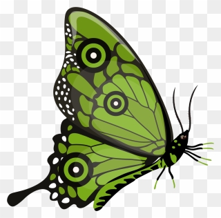 Brush-footed Butterfly Clipart