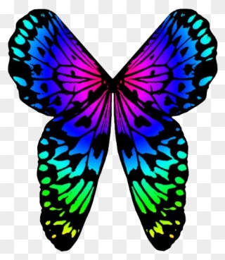 Rainbow Butterfly Png Image Background - Rainbow Butterfly Clipart
